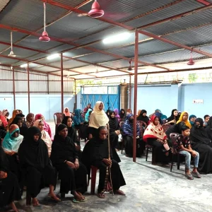Support to Widows